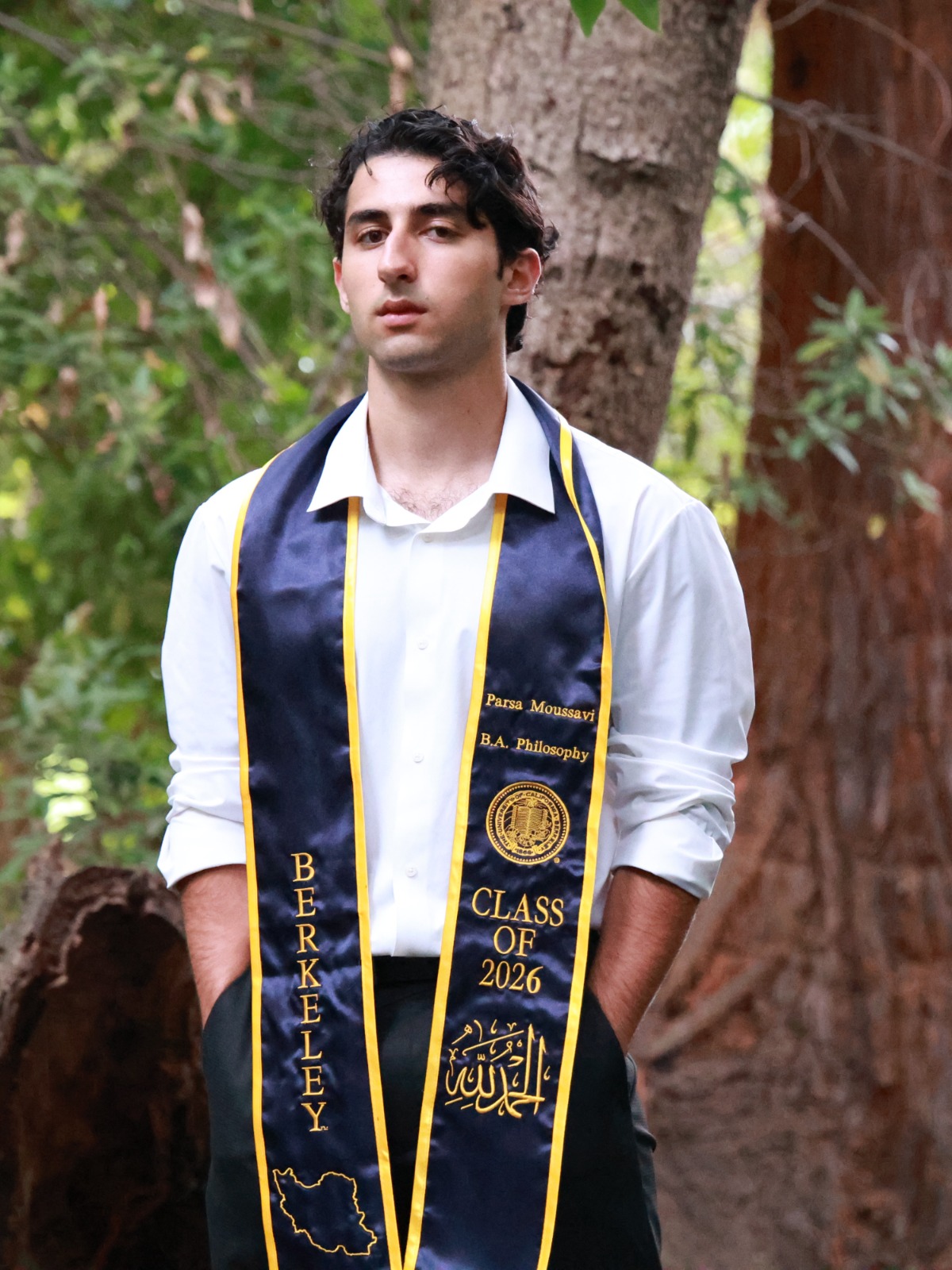 Parsa Moussavi